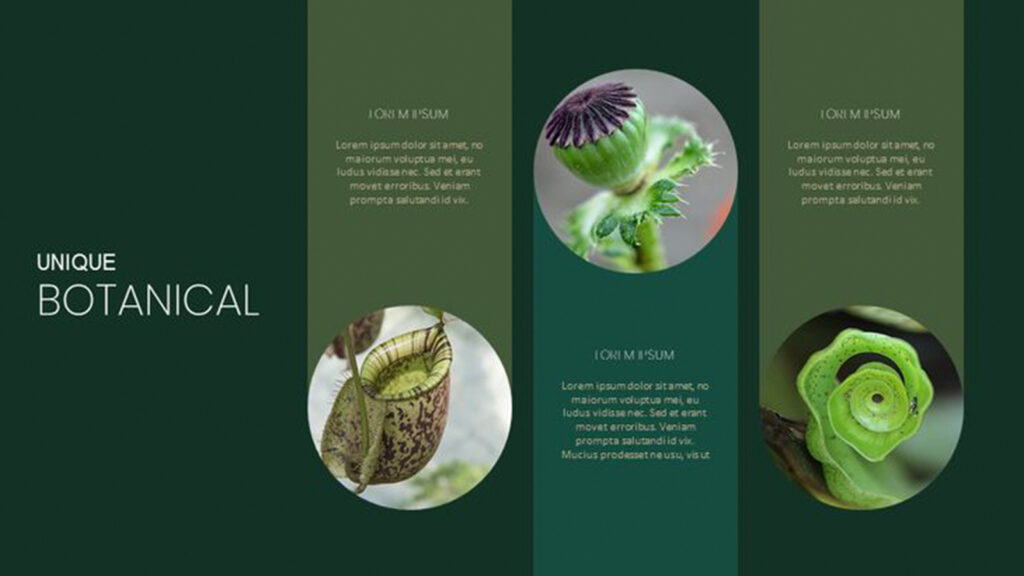Email & Digital Campaign Design Branding